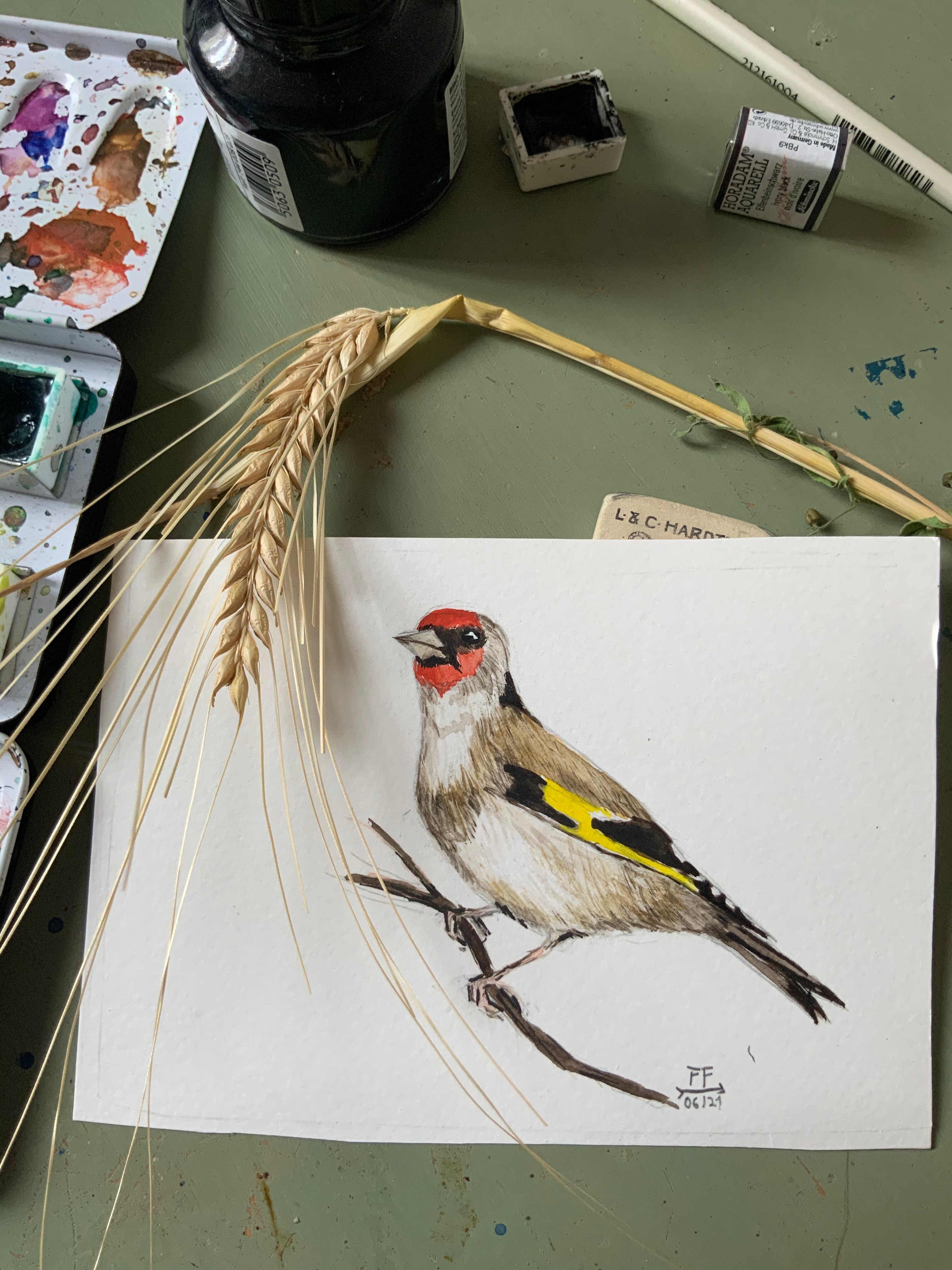 picture of a goldfinch